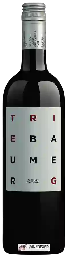 Winery Gunter & Regina Triebaumer - Cabernet Sauvignon