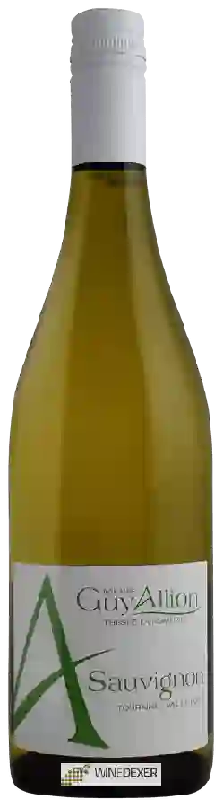 Winery Guy Allion - A Sauvignon