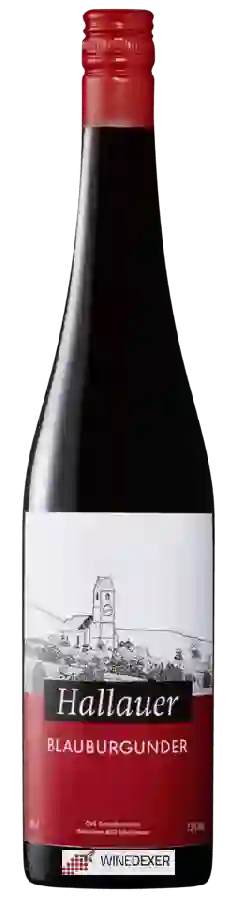 Winery GVS Schachenmann - Hallauer Blauburgunder Winery GVS Schachenmann - Hallauer Blauburgunder