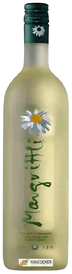 Winery GVS Schachenmann - Margrittli