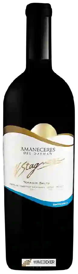 Winery H. Stagnari - Amaneceres del Dayman I