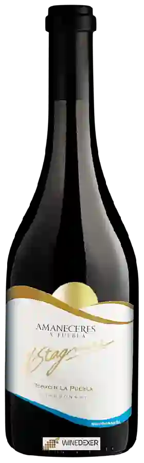 Winery H. Stagnari - Amaneceres la Puebla Chardonnay Winery H. Stagnari - Amaneceres la Puebla Chardonnay