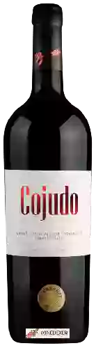 Winery H. Stagnari - Cojudo