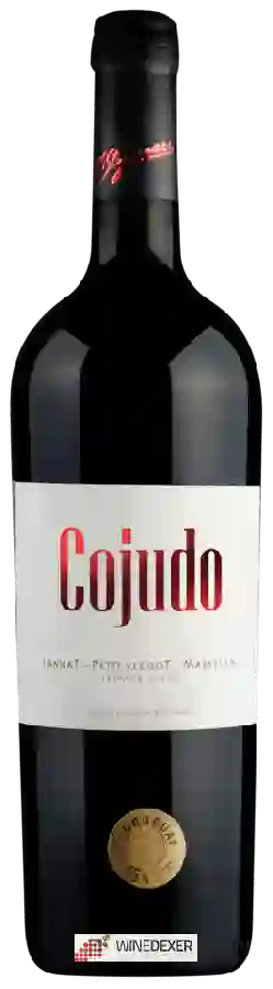 Winery H. Stagnari - Cojudo