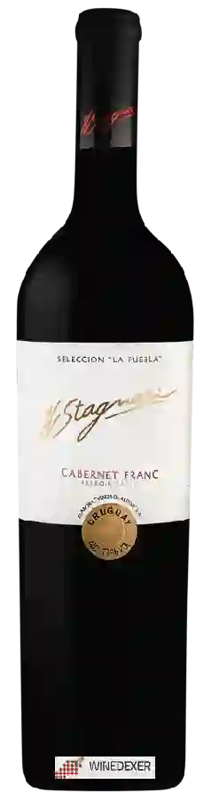 Winery H. Stagnari - La Puebla Cabernet Franc