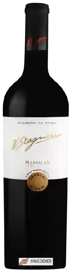 Winery H. Stagnari - La Puebla Marselan Winery H. Stagnari - La Puebla Marselan