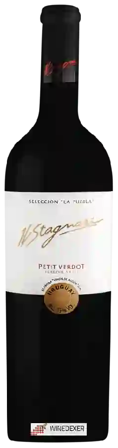 Winery H. Stagnari - La Puebla Petit Verdot