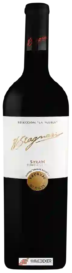 Winery H. Stagnari - La Puebla Syrah