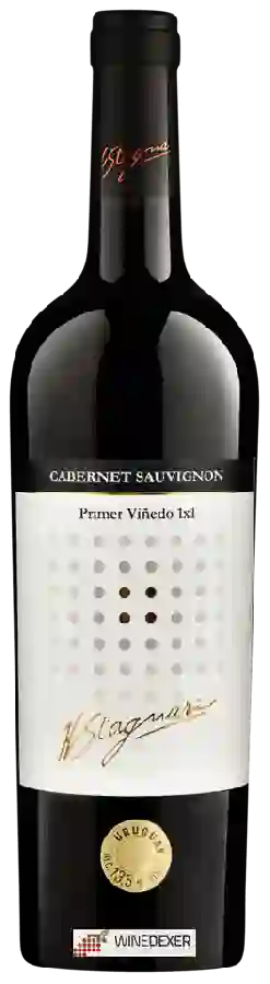 Winery H. Stagnari - Primer Viñedo 1x1 Cabernet Sauvignon