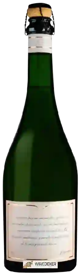 Winery H. Stagnari - Punto G