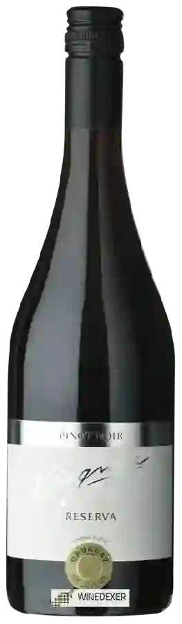 Winery H. Stagnari - Reserva Pinot Noir