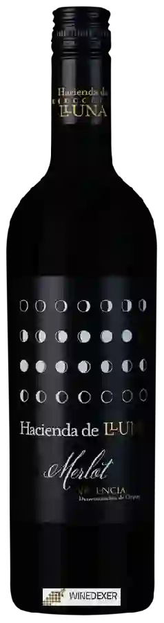 Winery Hacienda de Lluna - Merlot