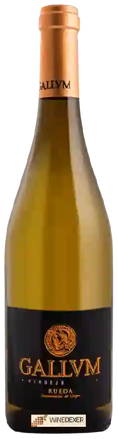 Bodegas Rincon de Pedraza - Gallvm Verdejo Bodegas Rincon de Pedraza - Gallvm Verdejo