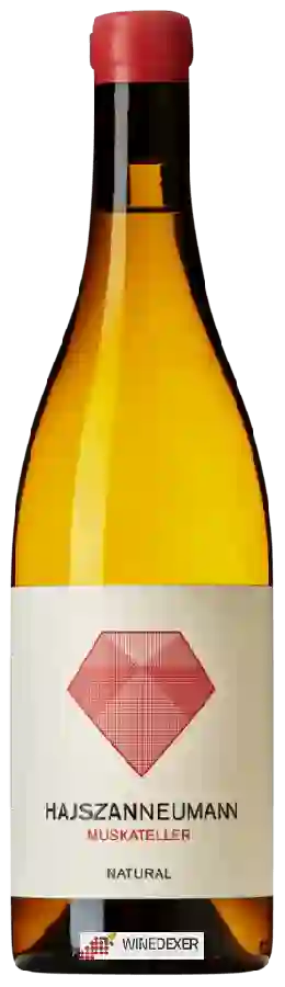 Winery Hajszan Neumann - Muskateller Natural