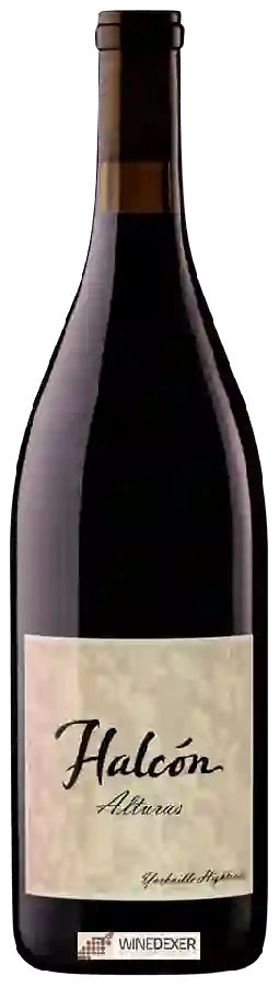 Winery Halcón - Alturas Syrah