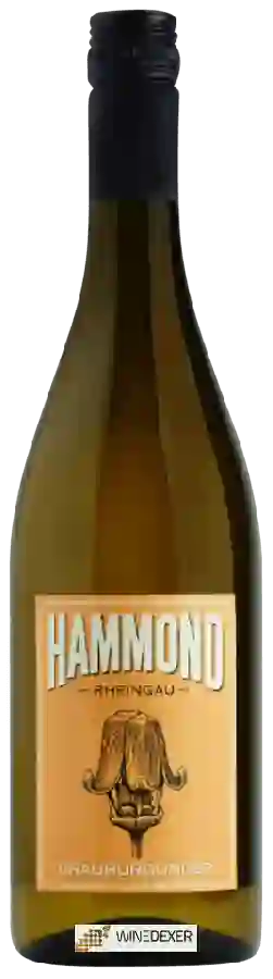 Winery Hammond - Grauburgunder