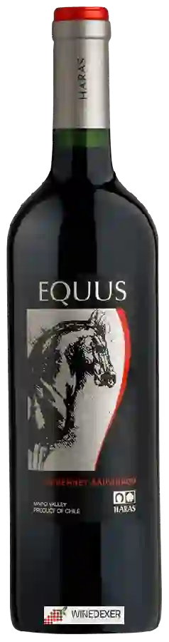 Winery Haras de Pirque - Equus Cabernet Sauvignon