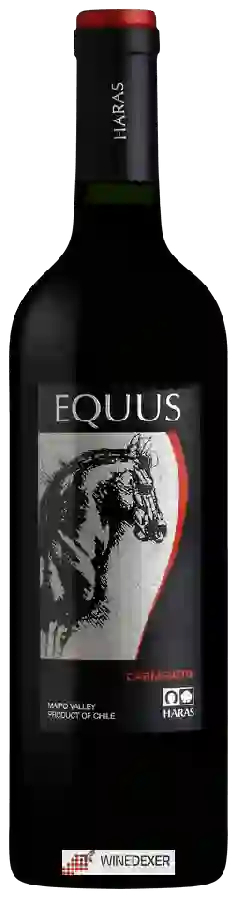 Winery Haras de Pirque - Equus Carmenère