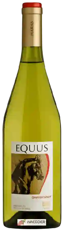 Winery Haras de Pirque - Equus Chardonnay