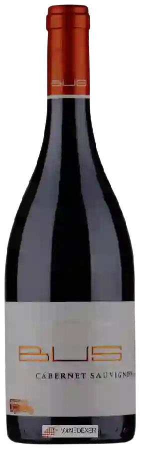 Winery Heinz Bus & Sohn - Cabernet Sauvignon Trocken Winery Heinz Bus & Sohn - Cabernet Sauvignon Trocken
