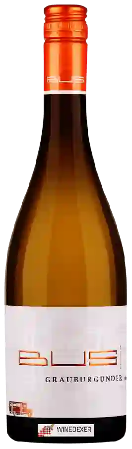 Winery Heinz Bus & Sohn - Grauburgunder Trocken