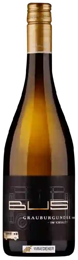 Winery Heinz Bus & Sohn - Im Kreuz Grauburgunder Trocken