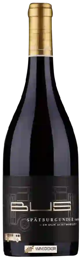 Winery Heinz Bus & Sohn - In den Acht Morgen Spätburgunder Trocken