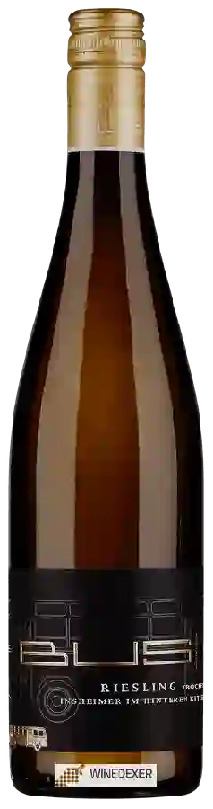 Winery Heinz Bus & Sohn - Insheimer im Hinteren Kitzelgrund Riesling Trocken