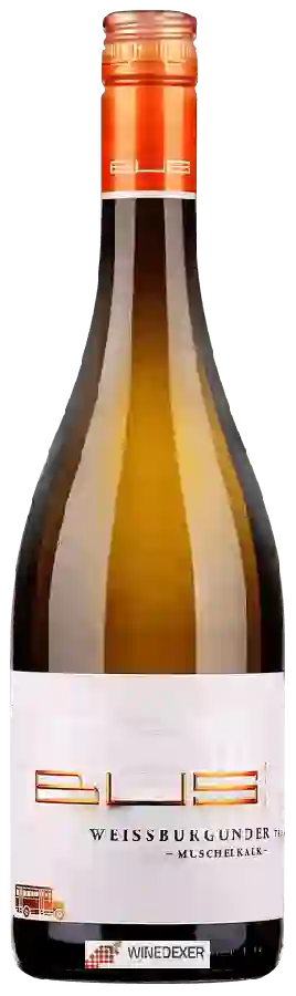 Winery Heinz Bus & Sohn - Muschelkalk Weissburgunder Trocken