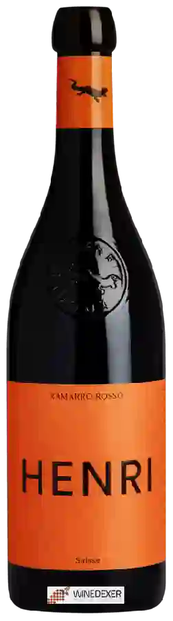 Winery Henri Badoux - Ramarro Rosso