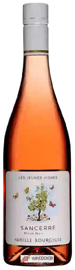 Winery Henri Bourgeois - Sancerre Les Jeunes Vignes Rosé Winery Henri Bourgeois - Sancerre Les Jeunes Vignes Rosé