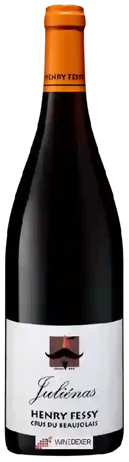 Winery Henry Fessy - Juliénas