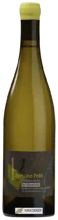 Winery Henry Pellé - Les Blanchais Menetou-Salon Morogues Winery Henry Pellé - Les Blanchais Menetou-Salon Morogues