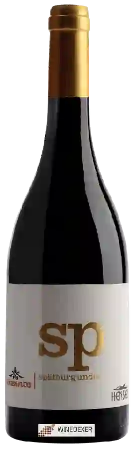 Winery Hensel - Höhenflug Spätburgunder