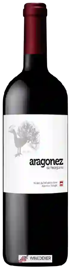 Winery Malhadinha Nova - Aragones da Peceguina Winery Malhadinha Nova - Aragones da Peceguina