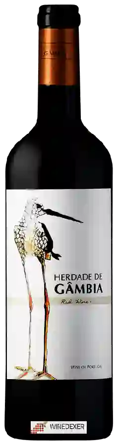 Winery Herdade de Gâmbia - Tinto