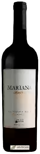 Winery Herdade do Rocim - Mariana Tinto