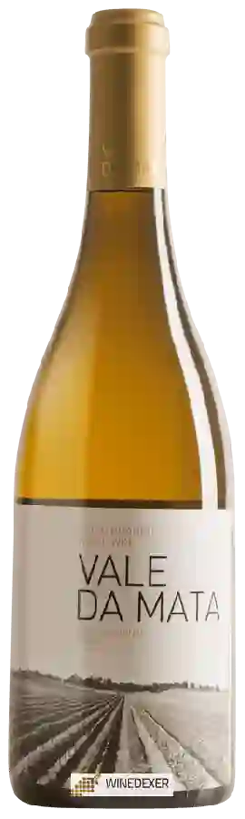 Winery Herdade do Rocim - Vale da Mata Branco