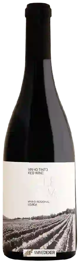 Winery Herdade do Rocim - Vale da Mata Tinto