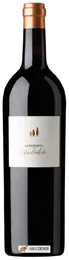 Winery Antídoto - La Hormiga de Antídoto
