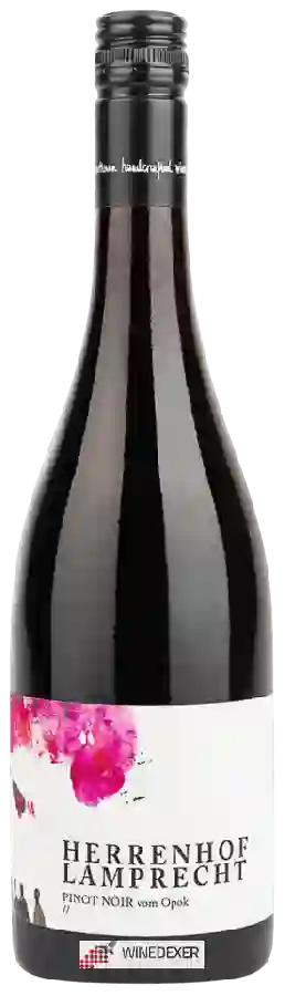 Winery Herrenhof Lamprecht - Pinot Noir vom Opok