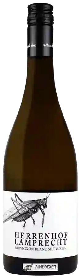 Winery Herrenhof Lamprecht - Sauvignon Blanc Silt & Kies