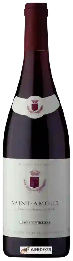 Winery Hervé de Villiers - Saint-Amour