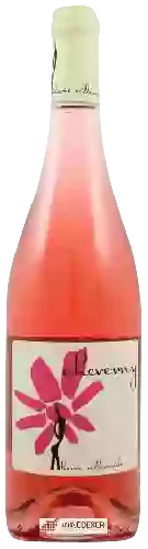 Winery Hervé Villemade - Cheverny Rosé