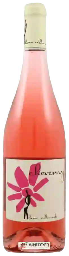 Winery Hervé Villemade - Cheverny Rosé