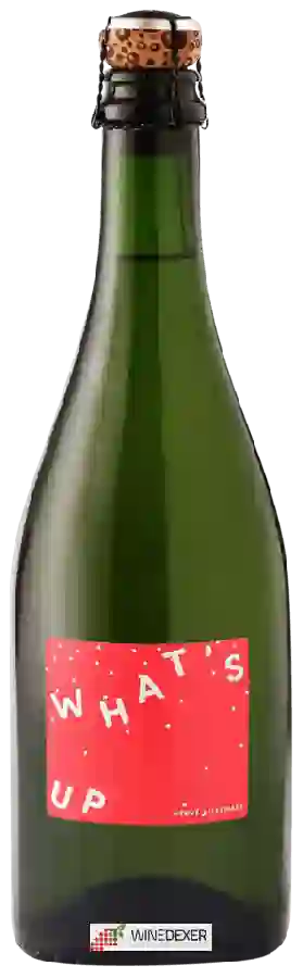 Winery Hervé Villemade - What's Up Blanc