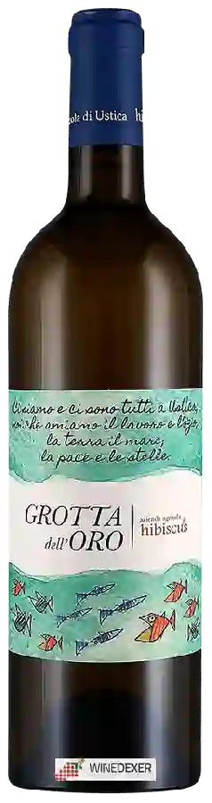 Winery Hibiscus - Grotta dell'Oro