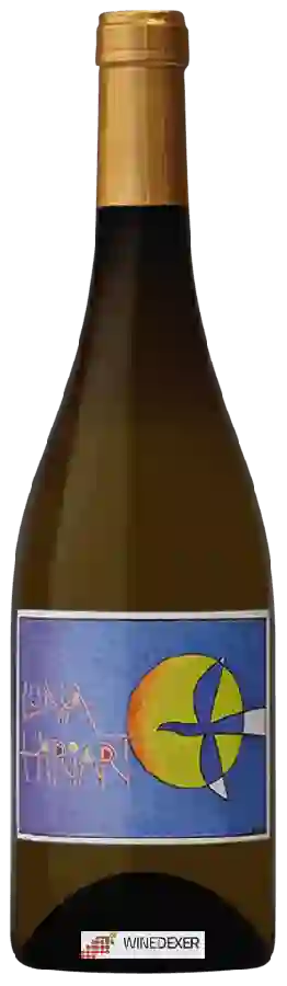 Winery Hiriart - Luna