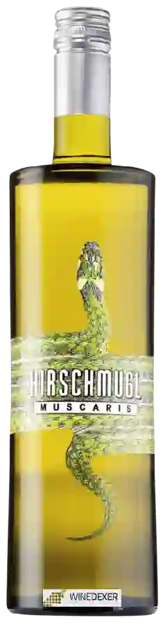 Winery Hirschmugl - Muscaris Winery Hirschmugl - Muscaris