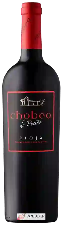 Winery Hermanos Peciña - Chobeo de Peciña Winery Hermanos Peciña - Chobeo de Peciña